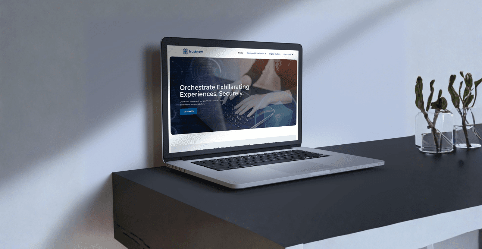 Trustnow - Website Redesign